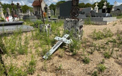 Image bucolique et reposante du cimetière de Saint-Brisson